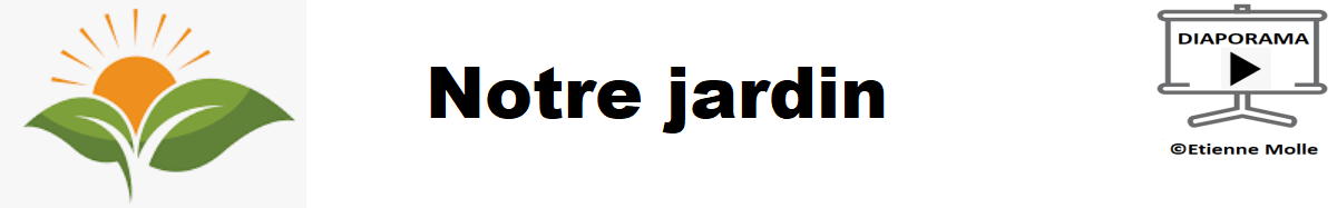 TITRE